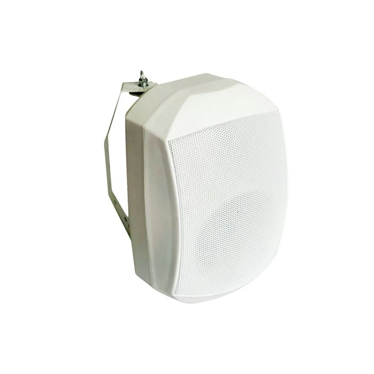 Outdoor Waterproof Wall Speaker